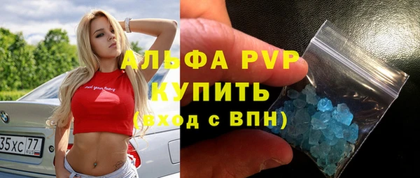 винт Ельня
